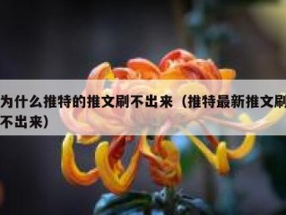 为什么推特的推文刷不出来（推特最新推文刷不出来）
