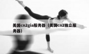 美国cn2gia服务器（美国cn2独立服务器）