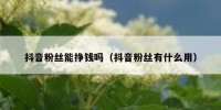 抖音粉丝能挣钱吗（抖音粉丝有什么用）