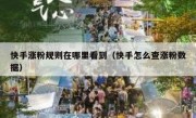 快手涨粉规则在哪里看到（快手怎么查涨粉数据）