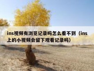 ins视频有浏览记录吗怎么看不到（ins上的小视频会留下观看记录吗）