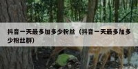 抖音一天最多加多少粉丝（抖音一天最多加多少粉丝群）