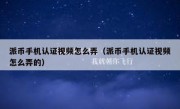 派币手机认证视频怎么弄（派币手机认证视频怎么弄的）