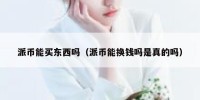 派币能买东西吗（派币能换钱吗是真的吗）