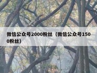 微信公众号2000粉丝（微信公众号1500粉丝）