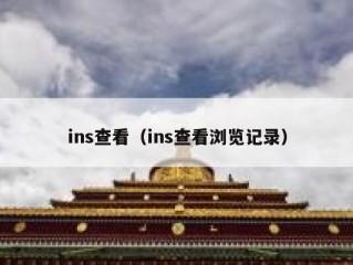 ins查看（ins查看浏览记录）