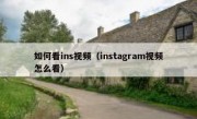 如何看ins视频（instagram视频怎么看）