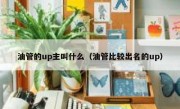油管的up主叫什么（油管比较出名的up）