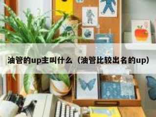 油管的up主叫什么（油管比较出名的up）