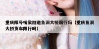 重庆限号桥梁隧道鱼洞大桥限行吗（重庆鱼洞大桥货车限行吗）