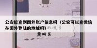 公安能查到国外账户信息吗（公安可以查微信在国外登陆的地址吗）
