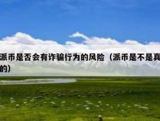 派币是否会有诈骗行为的风险（派币是不是真的）