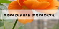 罗马尼亚总统百度百科（罗马尼亚总统大选）