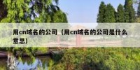 用cn域名的公司（用cn域名的公司是什么意思）