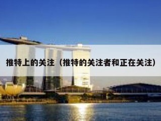 推特上的关注（推特的关注者和正在关注）