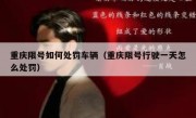 重庆限号如何处罚车辆（重庆限号行驶一天怎么处罚）