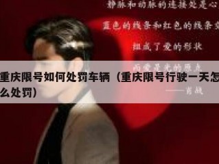 重庆限号如何处罚车辆（重庆限号行驶一天怎么处罚）