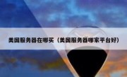 美国服务器在哪买（美国服务器哪家平台好）