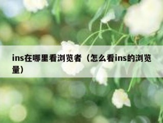 ins在哪里看浏览者（怎么看ins的浏览量）