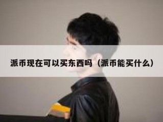 派币现在可以买东西吗（派币能买什么）