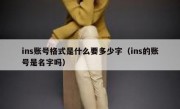 ins账号格式是什么要多少字（ins的账号是名字吗）