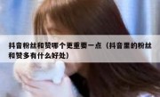 抖音粉丝和赞哪个更重要一点（抖音里的粉丝和赞多有什么好处）