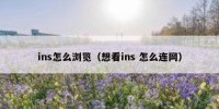 ins怎么浏览（想看ins 怎么连网）