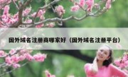 国外域名注册商哪家好（国外域名注册平台）
