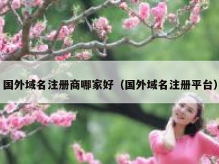 国外域名注册商哪家好（国外域名注册平台）