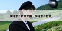 推特怎么赞赏主播（推特怎么打赏）