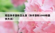 现在快手涨粉怎么涨（快手涨粉1000粉最快方法）