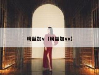 粉丝加v（粉丝加vx）