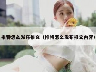 推特怎么发布推文（推特怎么发布推文内容）