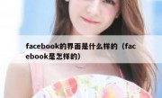 facebook的界面是什么样的（facebook是怎样的）
