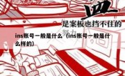 ins账号一般是什么（ins账号一般是什么样的）