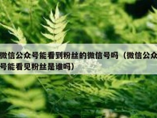 微信公众号能看到粉丝的微信号吗（微信公众号能看见粉丝是谁吗）
