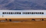 国外抖音最火的歌曲（抖音国外最好听的歌曲）