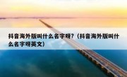 抖音海外版叫什么名字呀?（抖音海外版叫什么名字呀英文）