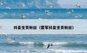 抖音主页粉丝（雷军抖音主页粉丝）