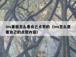 ins里面怎么看自己点赞的（ins怎么查看自己的点赞内容）