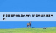 抖音里面的粉丝怎么来的（抖音粉丝从哪里来的）