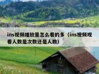 ins视频播放量怎么看的多（ins视频观看人数是次数还是人数）