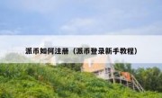 派币如何注册（派币登录新手教程）