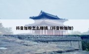 抖音加粉怎么赚钱（抖音粉加加）
