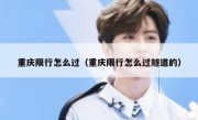 重庆限行怎么过（重庆限行怎么过隧道的）