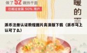 派币注册认证教程图片高清版下载（派币马上认可了么）