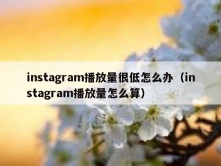 instagram播放量很低怎么办（instagram播放量怎么算）