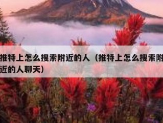 推特上怎么搜索附近的人（推特上怎么搜索附近的人聊天）