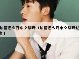 油管怎么开中文翻译（油管怎么开中文翻译功能）