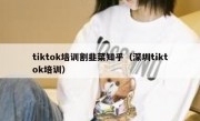 tiktok培训割韭菜知乎（深圳tiktok培训）